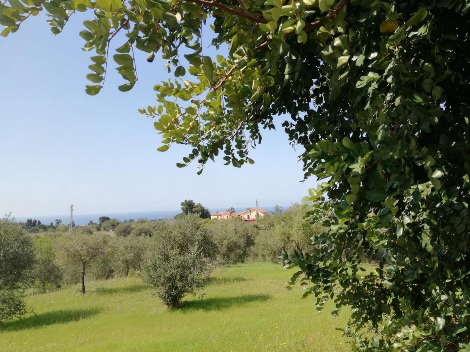 Il Casale Il Sole E La Margherita Campofelice Di Roccella Exterior photo