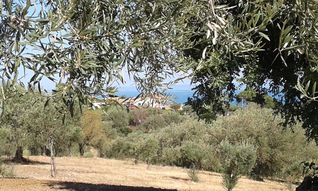 Il Casale Il Sole E La Margherita Campofelice Di Roccella Exterior photo